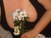 Photos des seins de J, j4