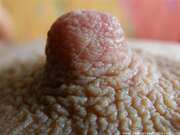 Photos des seins de Hotlips, radicelle2