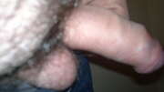 Photos de la bite de Thoumassine, toute mole désolé 