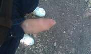 Photos de la bite de Bicurieu, En Foret