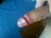 Photos de la bite de Azerty76, sexe