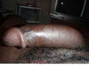 Photos de la bite de Sexsexp, ma bite