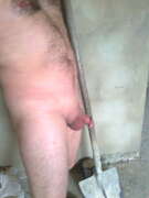 Photos de la bite de Giggi, Mon zeb