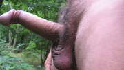 Photos de la bite de Dede59, petit tour en foret