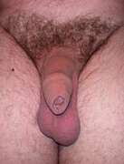 Photos de la bite de Ttonio, couilles qui pendent