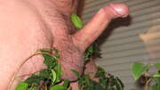 Photos de la bite de Nono6(25)9, 13