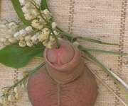 Photos de la bite de Bear, beaucoup de bonheur
