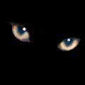 BlackCannes