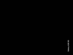 Fifou57
