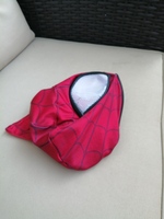 SpiderBoy