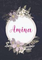 Aminafall