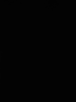 Tonne