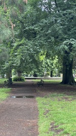 paypenini
