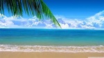 Ocean72