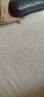 Matraque24cm