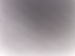Ptitebite07