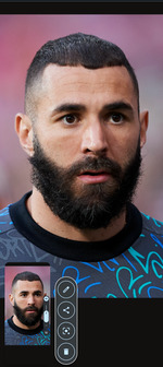 Le dompteur 