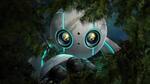 zekiwi57